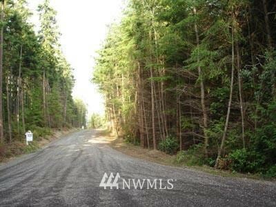 Property Photo:  0 Lot 4 Evergreen Lane  WA 98249 