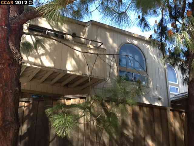 Property Photo:  3729 Clayton Rd  CA 94521-2554 