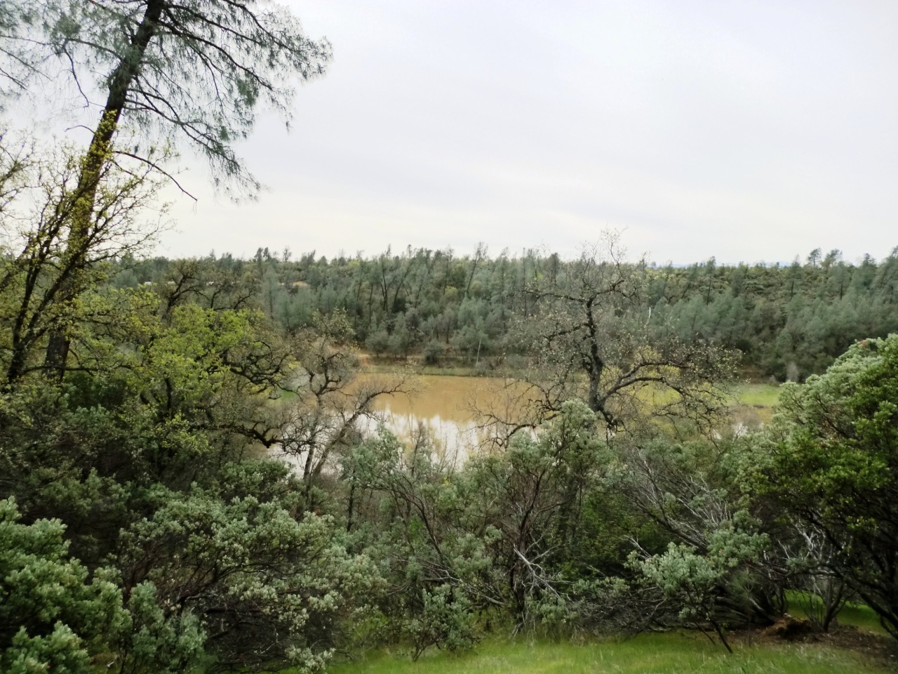 Property Photo:  20 Acres Small Farms Dr  CA 96047 