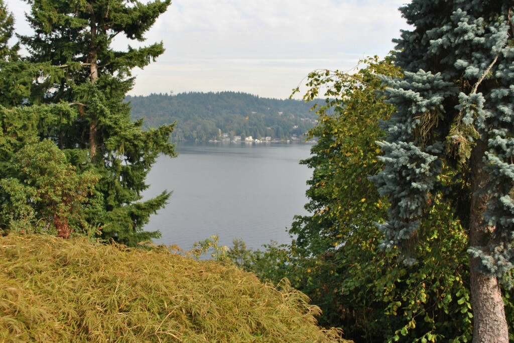 Property Photo:  13216D 42nd Ave NE  WA 98125 