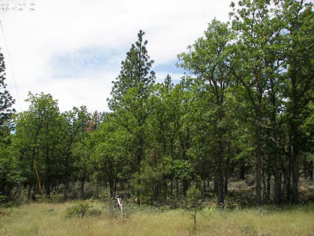 Property Photo: Thompson Tr WA 98620