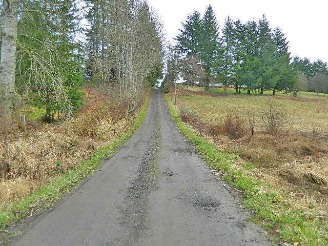 Property Photo:  122 Xxx  Bethel Burley Road  WA 98366 