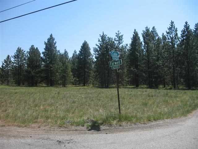 Property Photo:  4200 E Farwell Rd Near Farwell &Amp Cuba  WA 99021 