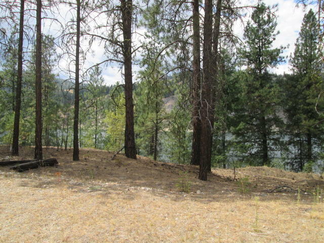 Property Photo:  2400-2500 Hutson Jones Way  WA 99126 