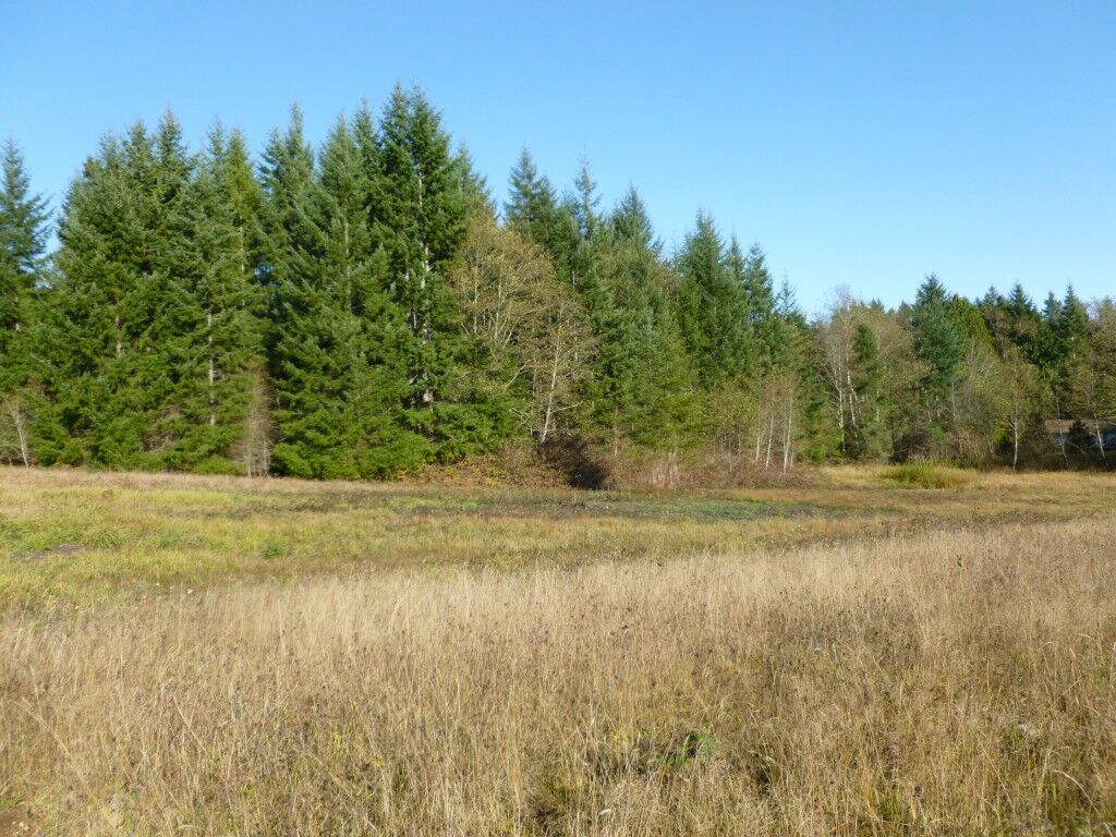 Property Photo:  0 NW Cedar Lane  WA 98370 