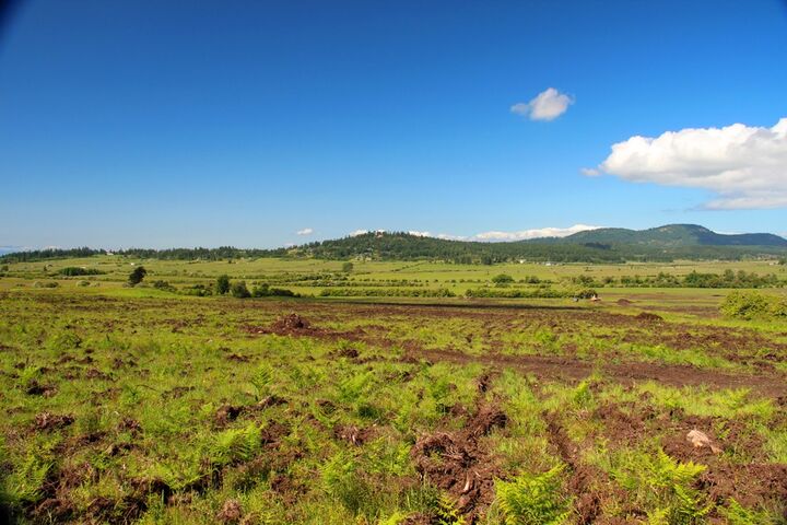 Property Photo: Parcel 6 Douglas Rd WA 98250