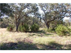 Property Photo:  390 Billie Brooks Lane  TX 78619 