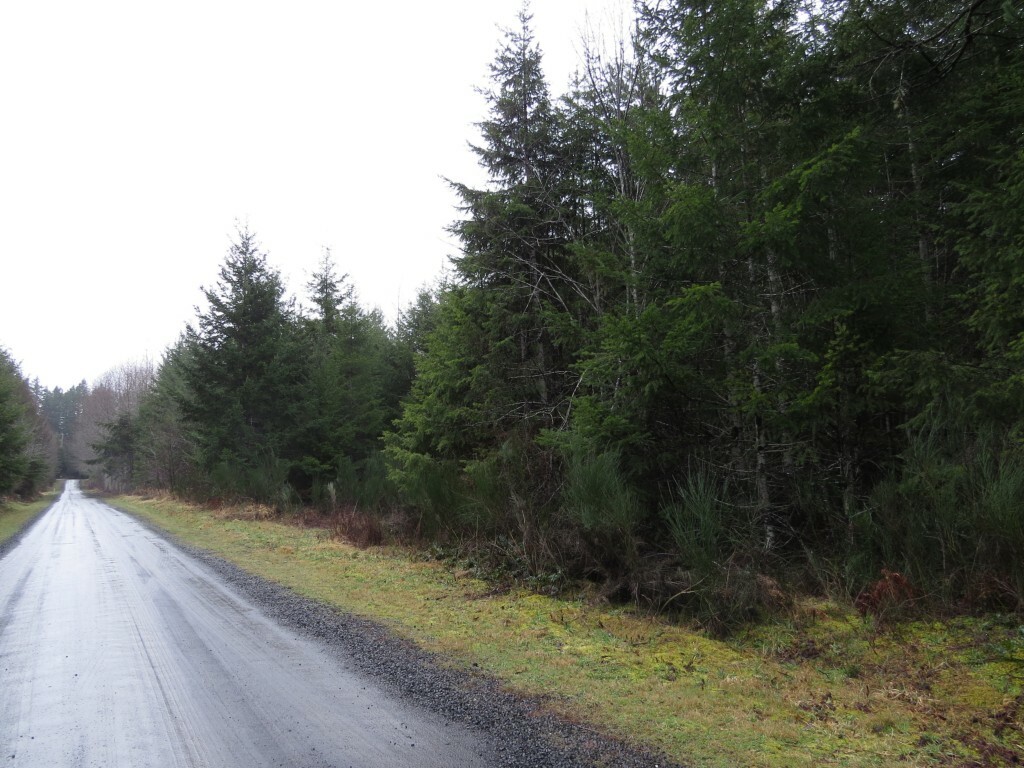 Property Photo: 0 W Goldsborough Dr WA 98584