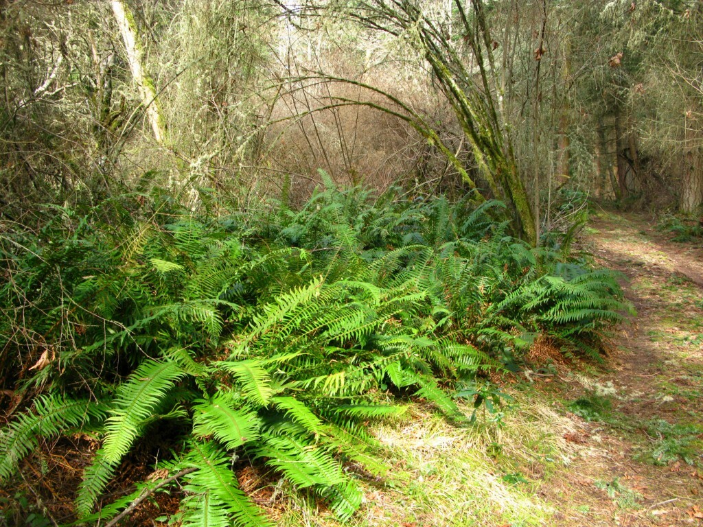 Property Photo:  0 Xxx Smugglers Cove Road  WA 98249 