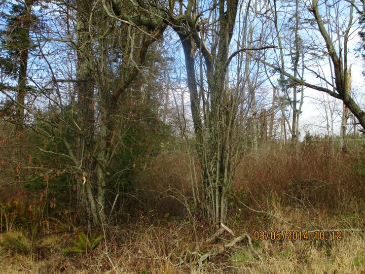 Property Photo: 11 Saratoga Road WA 98282