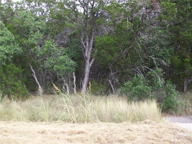 Property Photo:  1727 Falconwood Drive  TX 78666 