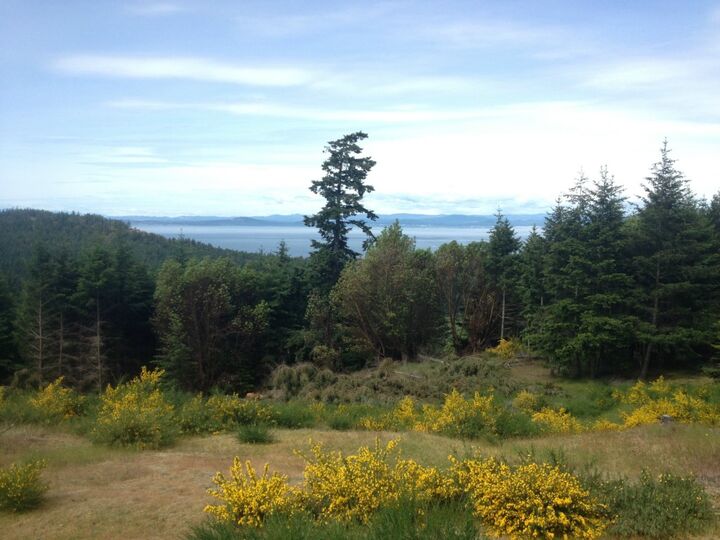 0 Lucky Wy  San Juan Island WA 98250 photo