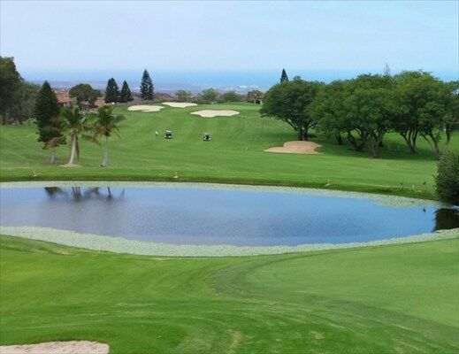 Property Photo:  68-1754 Melia St A302  HI 96738 