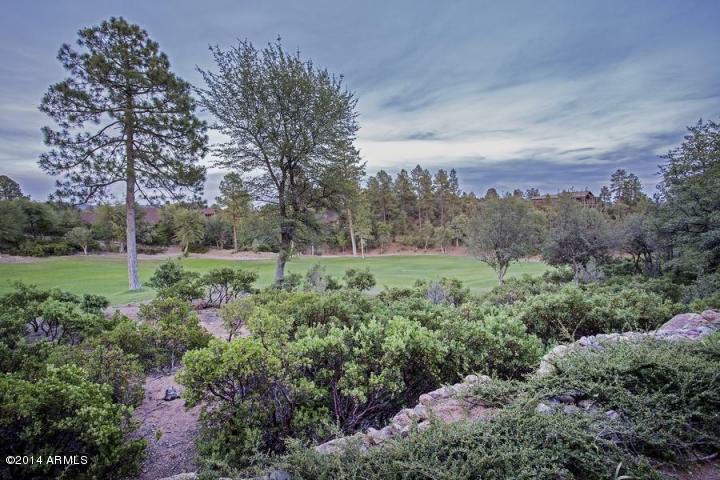 Property Photo:  911 N Indian Paintbrush Circle  AZ 85541 