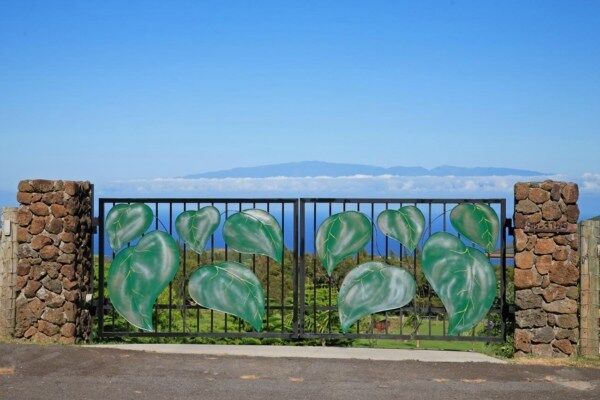 Property Photo: 56-3189 Puu Mamo Dr HI 96719