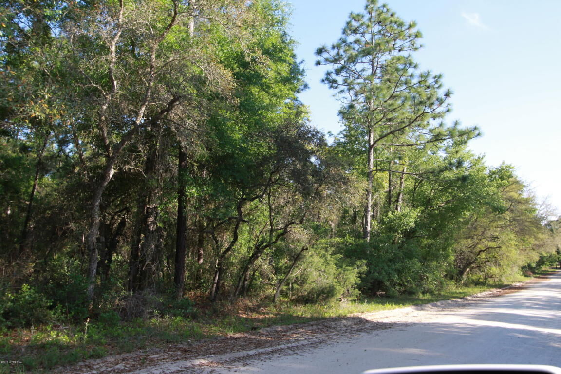 Property Photo: 0 Sisco Road FL 32181