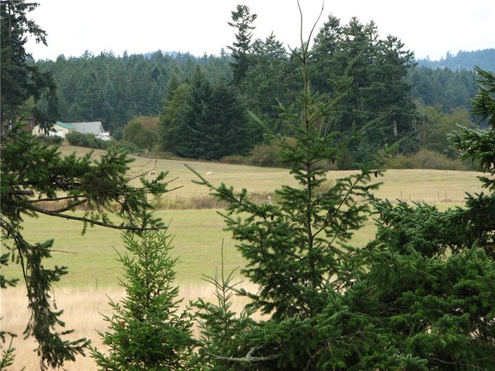 511 Kelsando Cir  San Juan Island WA 98250 photo