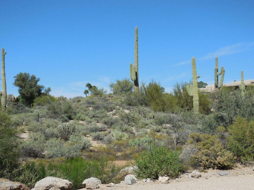 Property Photo:  2156 E Quails Nest Lot 137 Drive E 137  AZ 85377 