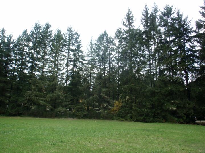 Property Photo:  14921 Fagerud Road SE  WA 98349