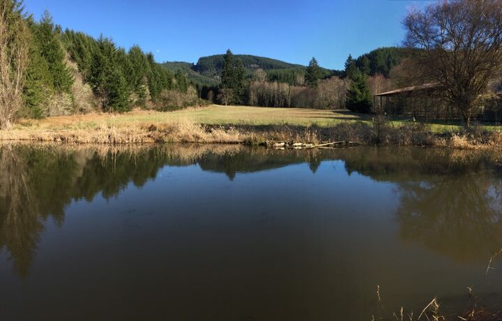 Property Photo: 2890 King Rd WA 98532