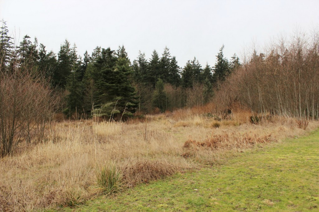 Property Photo: 1826 Fawn Drop Rd WA 98277