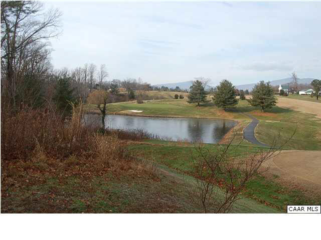 Property Photo:  Dundee Rd 3  VA 22973 