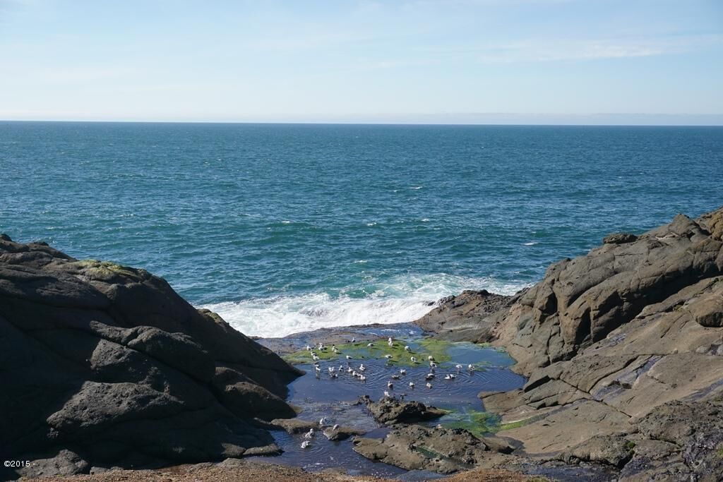 Property Photo:  1113 N Hwy 101 Unit 45  OR 97341 