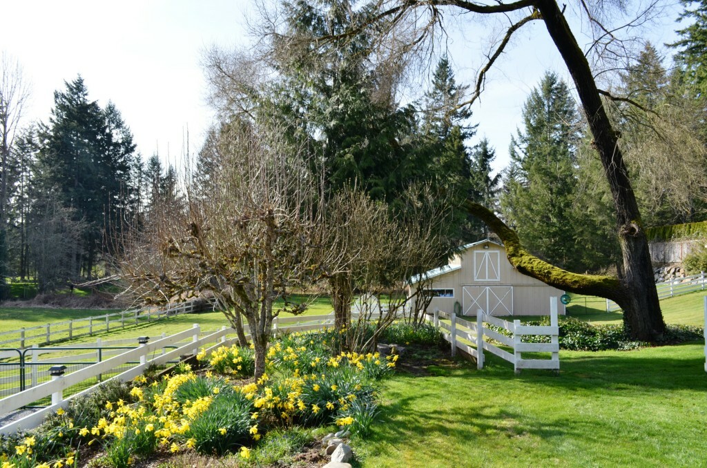 Property Photo:  2205 212th Ave SE  WA 98075 