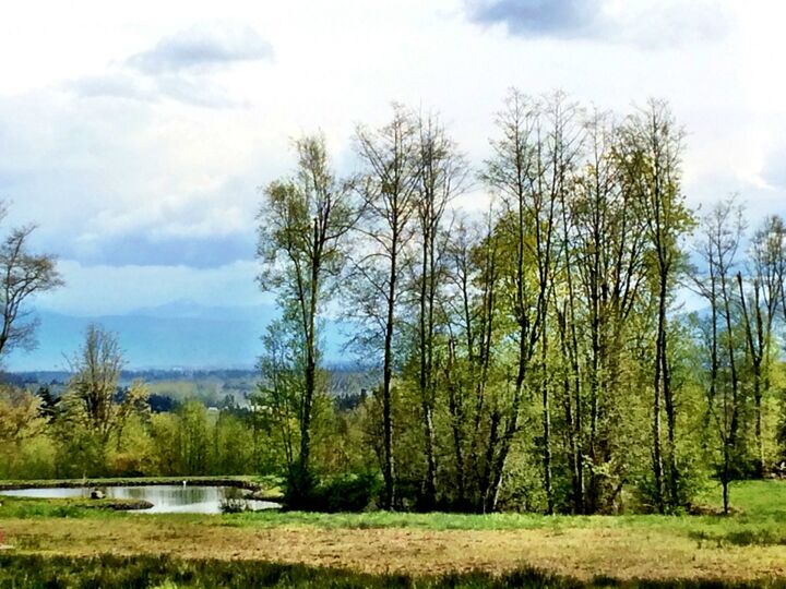 Property Photo:  0 Stein Hill Lane  WA 98240 