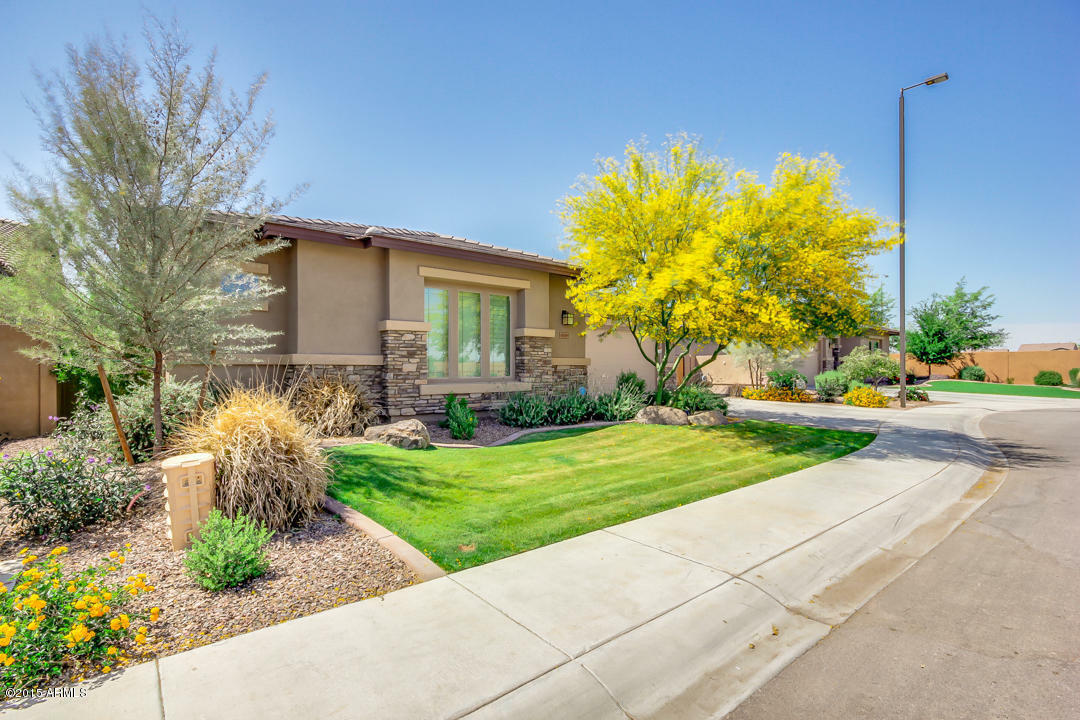 Property Photo:  5030 S Pinaleno Place  AZ 85249 