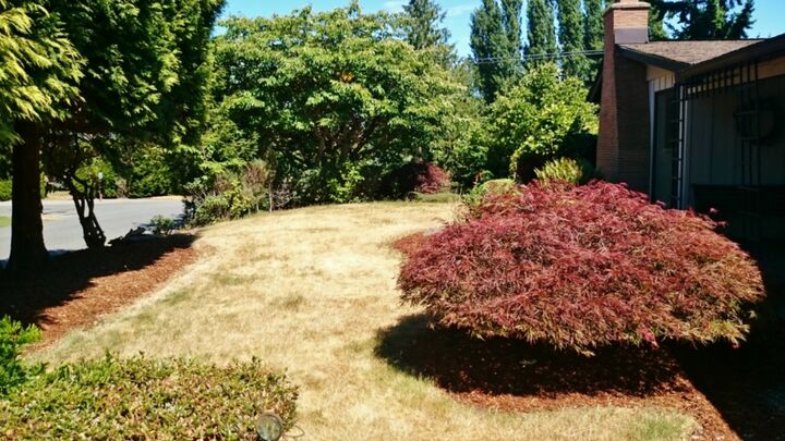 Property Photo: 217 S 202nd St WA 98198