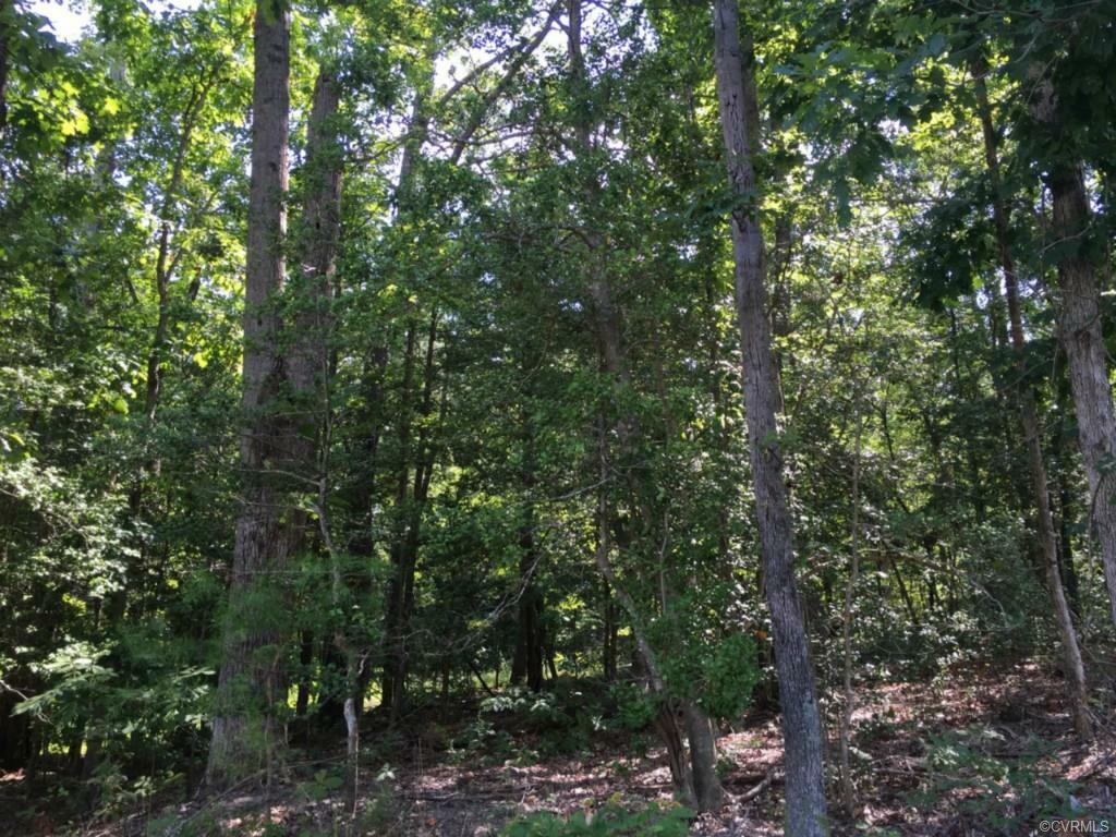 Property Photo:  000 Dabney'S Mill Road  VA 23106 