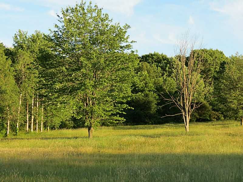 Property Photo: State Hwy. 285 PA 16316