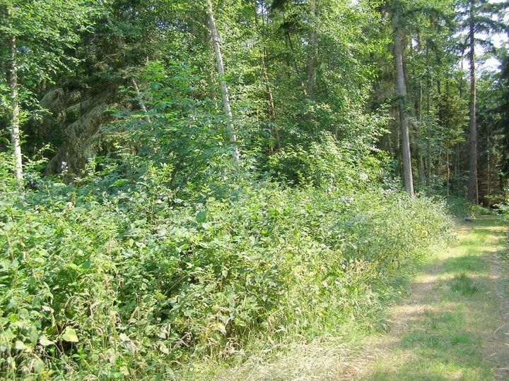 0 Lake Mastie Rd  Coupeville WA 98239 photo