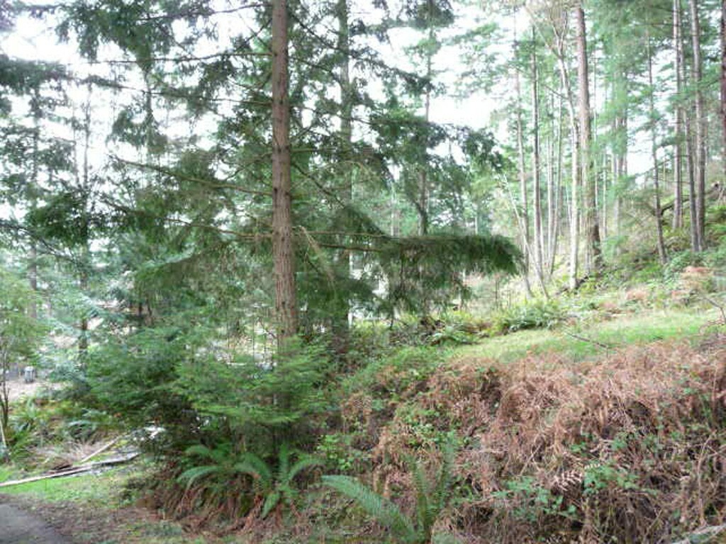 Property Photo:  2861 Aiston Creek Rd  WA 98262 