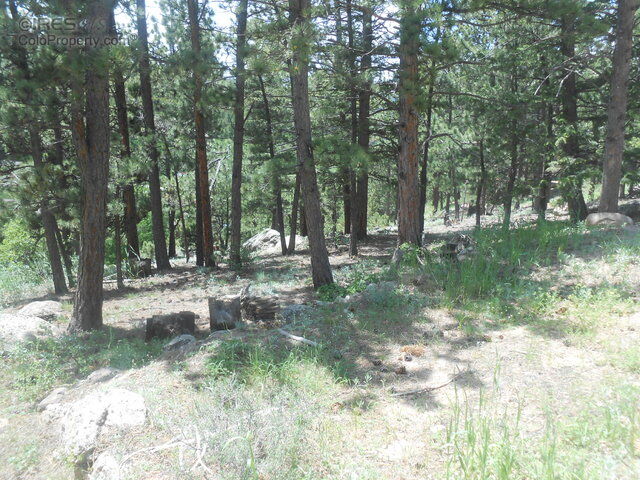 Property Photo:  24 Sundance Cir  CO 80466 