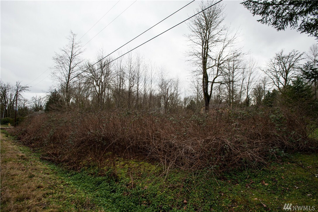 Property Photo: 264 NE 53rd St WA 98053