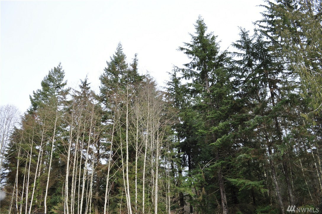 Property Photo: 15912 28th St NW WA 98332