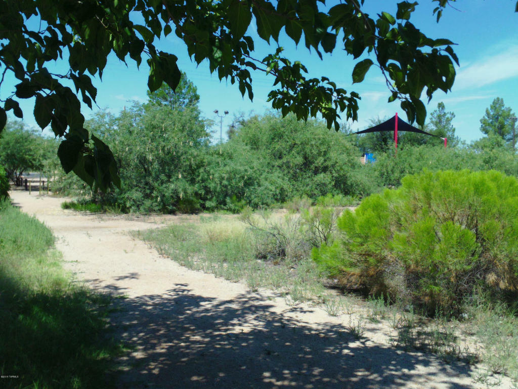 Property Photo:  16525 N Avenida Del Oro  AZ 85739 