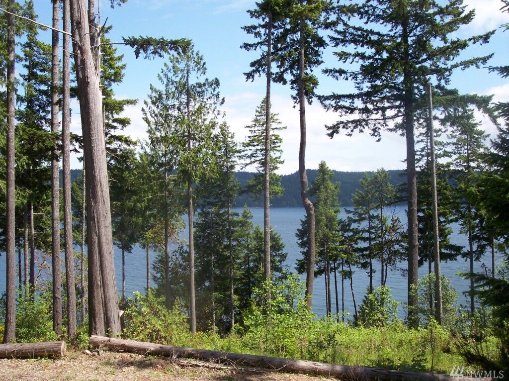 Property Photo: 0 Lot B US Highway 101 WA 98548