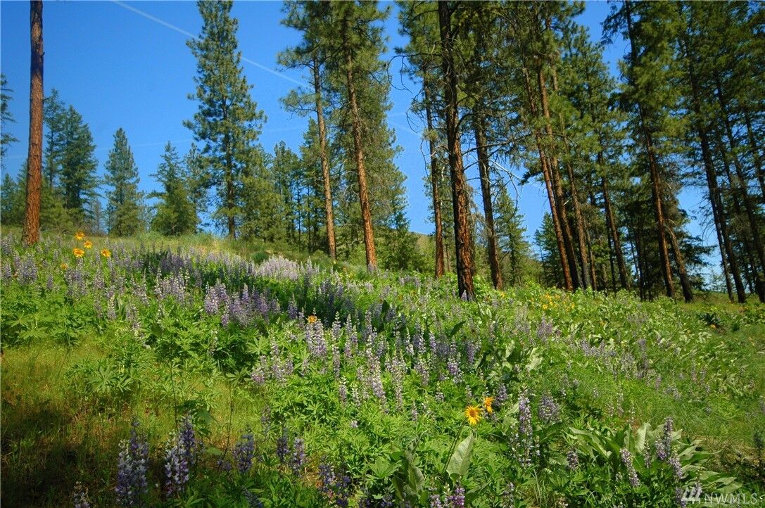 Property Photo:  94 South Fork Gold Creek Rd  WA 98814 