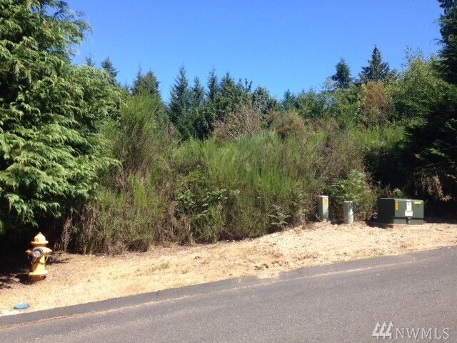 Property Photo: 463 3rd Court WA 98333