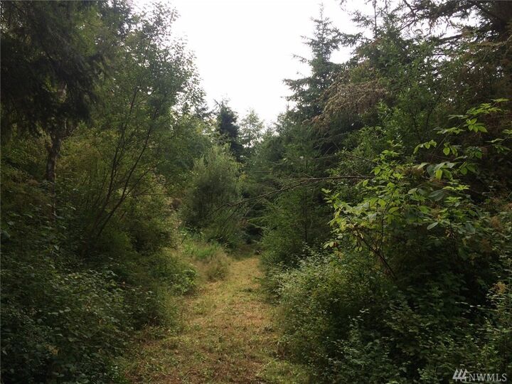 Property Photo:  0 Periphas Dr  WA 98277 