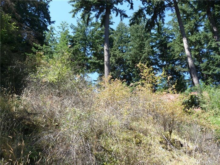 2963 Dogwood Terr  Lummi Island WA 98262 photo