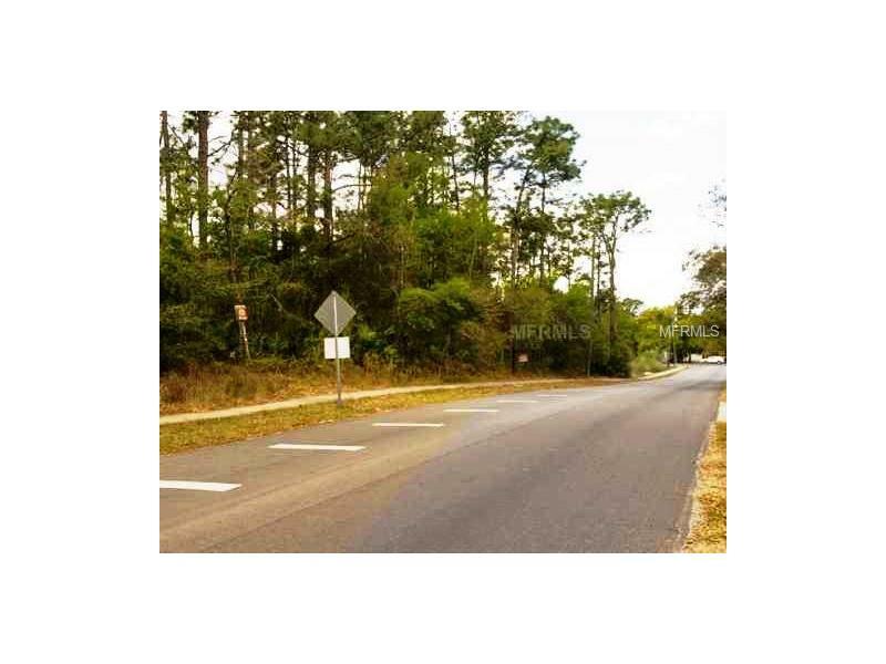 Property Photo:  209 Main Road  FL 32746 