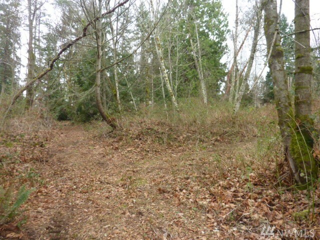 Property Photo:  0 59th St NW  WA 98335 