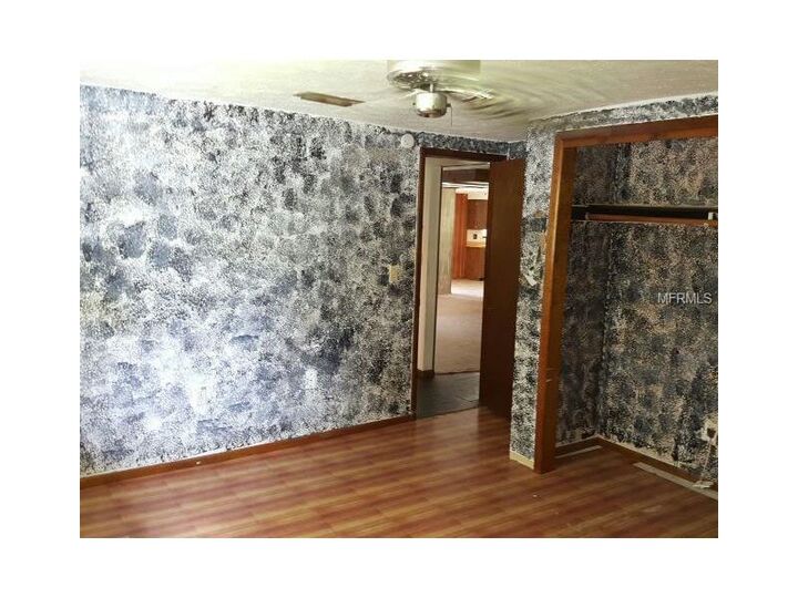 Property Photo:  10321 Indian Mound Drive  FL 34654 