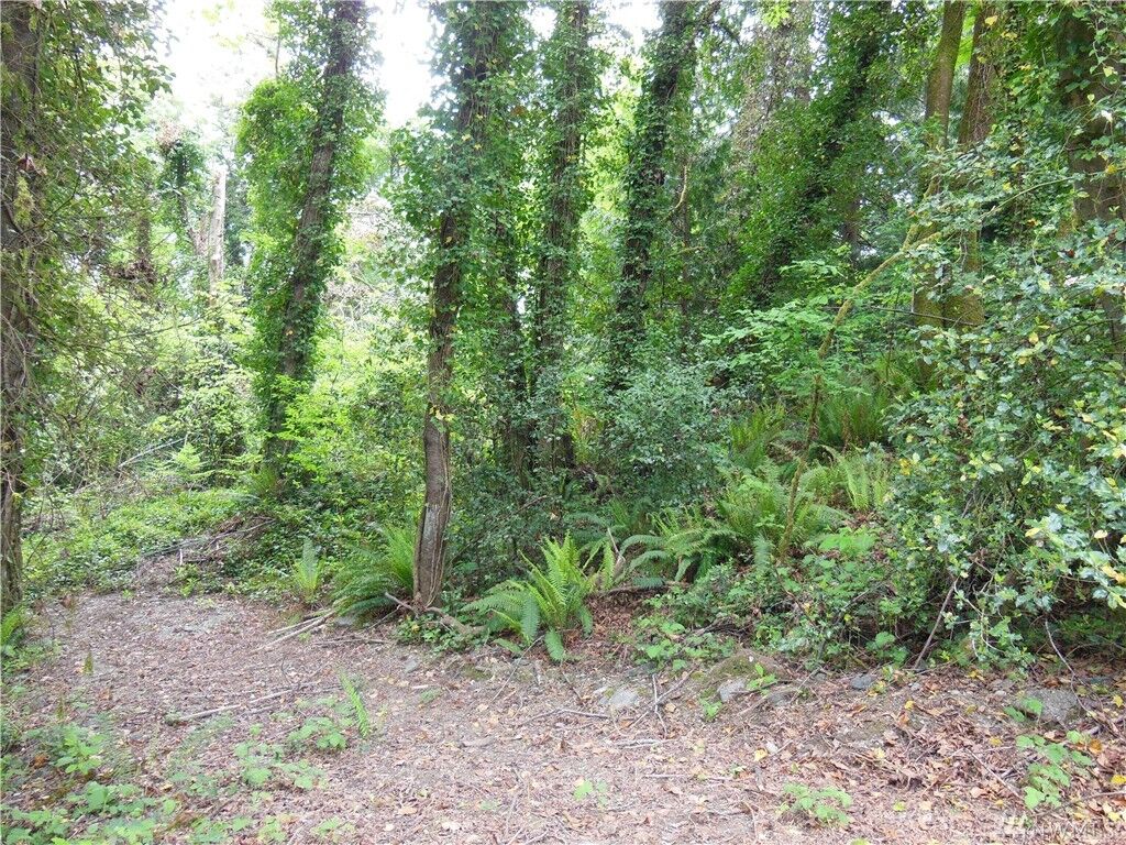 Property Photo:  Xx Bowman Ave NW  WA 98502 