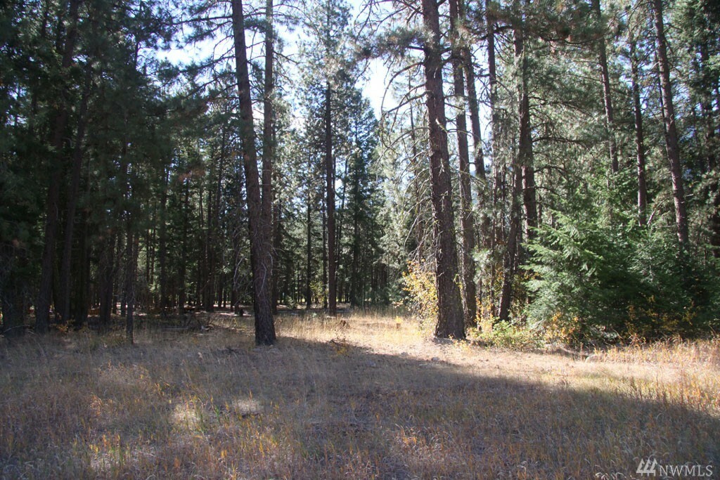 Property Photo:  510 Goat Creek Rd  WA 98833 