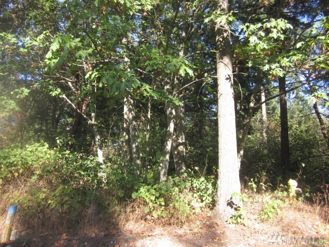 Property Photo: 361 Xx 14th Ave SW WA 98023